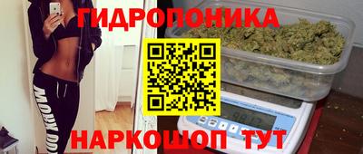 кокс Краснодар